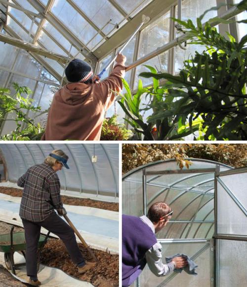 Полная инструкция: как обработать и чем пролить почву осенью в теплице от вредителей и болезней 01