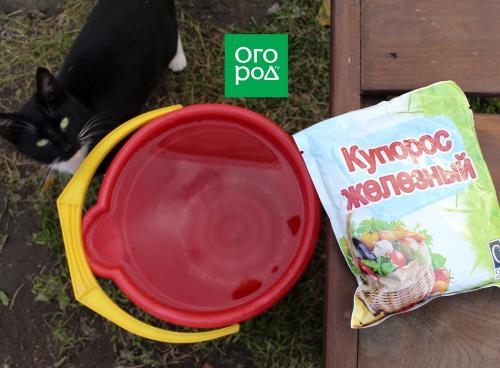 Осенняя подготовка теплицы: что делать после сбора урожая 09