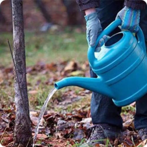 Как правильно убрать и подготовить грядки к зиме. КАК ПОДГОТОВИТЬ САД К ЗИМЕ