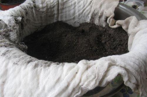 Какие методы обеззараживания грядок считаются наиболее эффективными. Народные средства