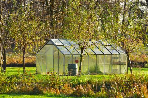 Осенняя подготовка теплицы: что делать после сбора урожая 03