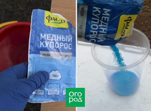 Осенняя подготовка теплицы: что делать после сбора урожая 10