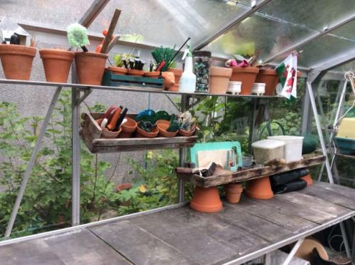 Как правильно хранить урожай в теплице. Как правильно помыть теплицу внутри