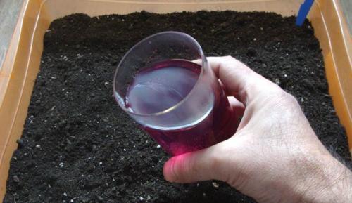 Как обеззаразить почву на грядах после уборки урожая: эффективные методы 02 Как обеззаразить почву на грядах после уборки урожая: эффективные методы 02