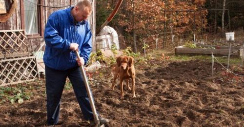 Какие основные этапы подготовки грядок осенью. Как подготовить почву осенью для посадки: важнейшие этапы предзимней работы
