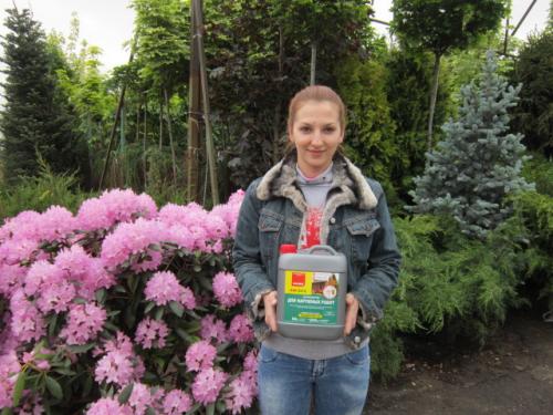 Чем заделать щели между бревнами в доме. Технология заделки дефектов в бревнах 06