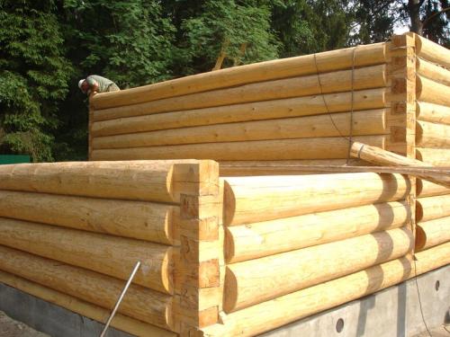 Чем заделать щели между бревнами в бане. Что делать если в бревнах бани из сруба появились большие трещины