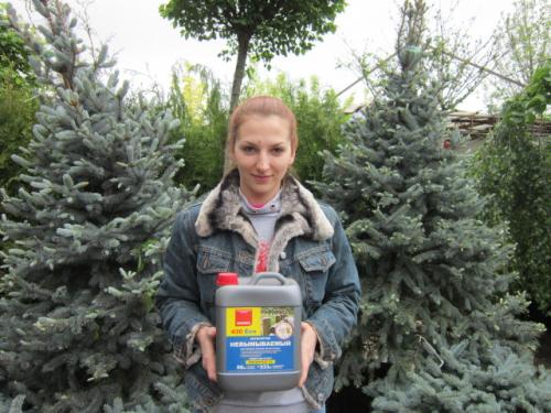 Чем заделать щели между бревнами в доме. Технология заделки дефектов в бревнах 07