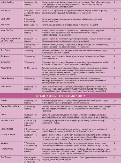 Магнолия звездчатая в Подмосковье. Секреты выращивания магнолий в средней полосе и Подмосковье 03 Магнолия звездчатая в Подмосковье. Секреты выращивания магнолий в средней полосе и Подмосковье 03