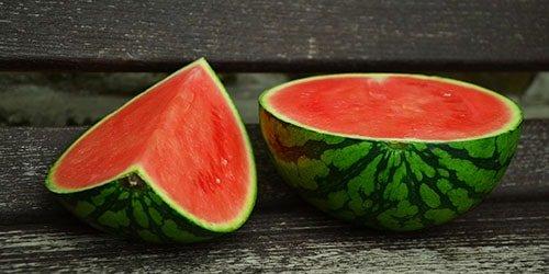 Выращивание арбузов в Подмосковье. Для открытого грунта