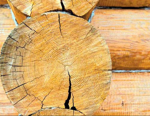 Что делать с трещинами в срубе. Причины образования трещин в бревнах