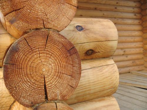 Заделка трещин в бревнах сруба внутри и снаружи дома. Какую шпаклевку по дереву выбрать 02