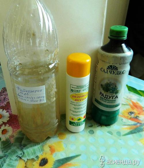 Фитоспорин от грибов на газоне. Размножение фитоспорина