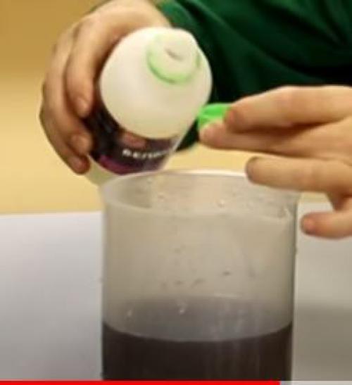 Фитоспорин от грибов на газоне. Размножение фитоспорина