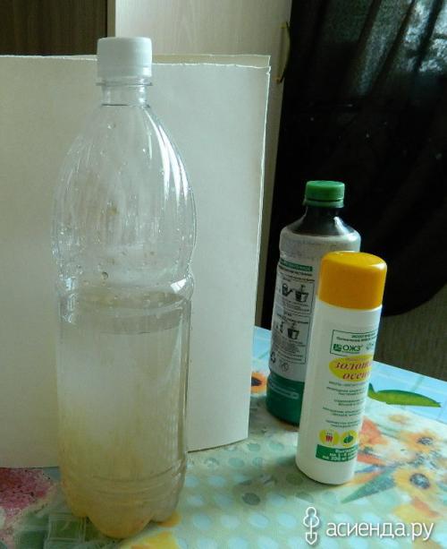 Фитоспорин от грибов на газоне. Размножение фитоспорина