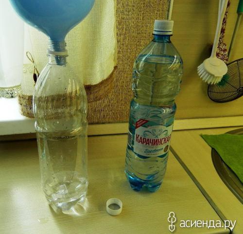 Фитоспорин от грибов на газоне. Размножение фитоспорина