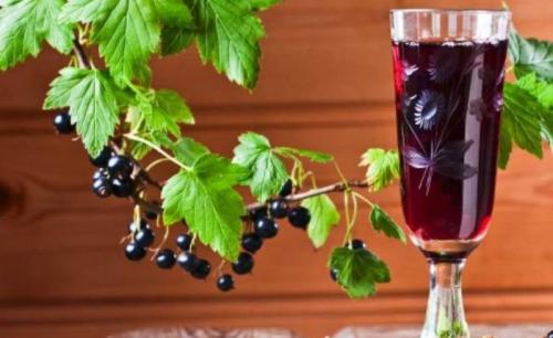 Наливка из красной смородины без водки. Наливка из черной смородины   – 12 домашних рецептов