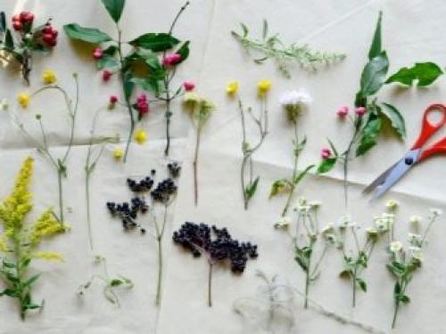 Пошаговая инструкция композиция из сухих роз. Флористическая композиция из засушенных роз 12 Пошаговая инструкция композиция из сухих роз. Флористическая композиция из засушенных роз 12