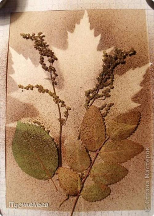 Как сделать картину из сухих цветов. Картины из листьев и цветов своими руками: 70 идей