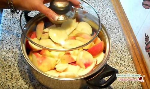 Необычный джем из яблок. Джем из яблок в домашних условиях: 7 простых рецептов