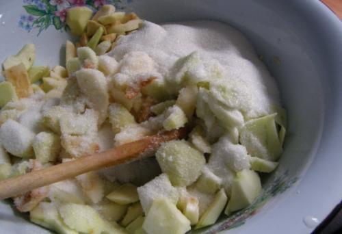 Варенье из яблок через мясорубку. Повидло из яблок в домашних условиях: 8 простых рецептов