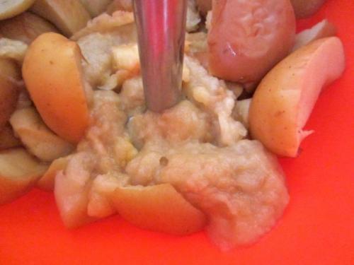 Варенье из яблок через мясорубку. Повидло из яблок в домашних условиях: 8 простых рецептов