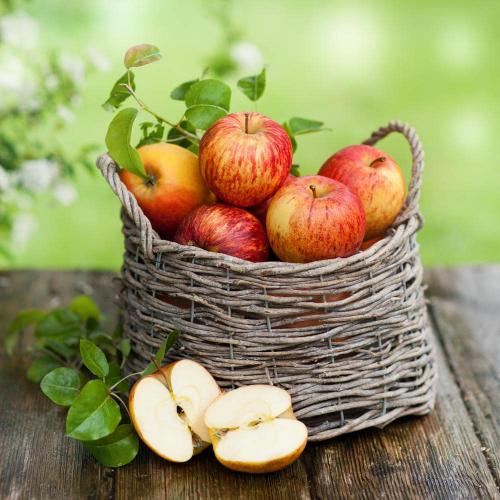 Что делать с большим количеством яблок. У вас много яблок? 7 способов сохранить урожай