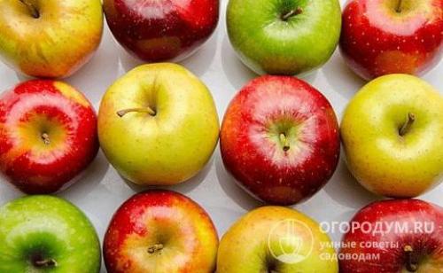 Варенье из яблок не сладкое. Общие рекомендации