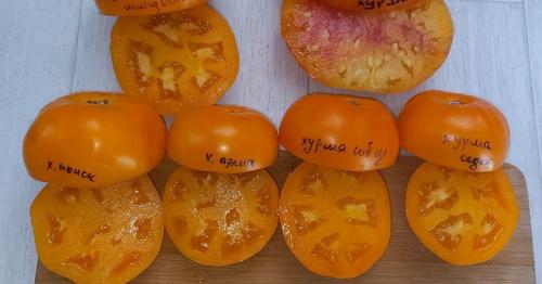 Хурма шоколадница польза. Как выбрать спелую хурму