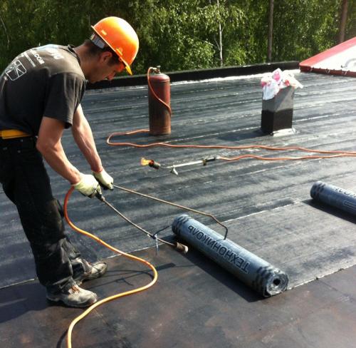 Какие типы бикростома наиболее подходящие для покрытия крыши гаража