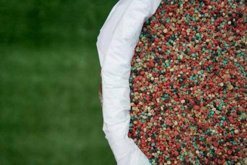 Какие типы удобрений можно использовать для осенней обработки почвы